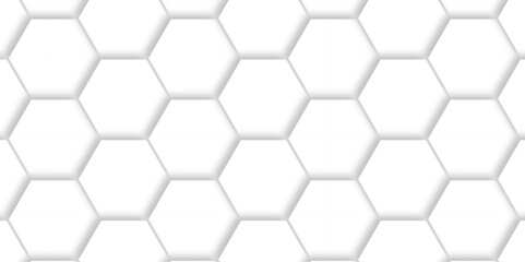 Abstract minimal white lines Hexagonal structure futuristic white wallpaper background Embossed Hexagon , honeycomb white mosaic cell web ,light and shadow texture design.