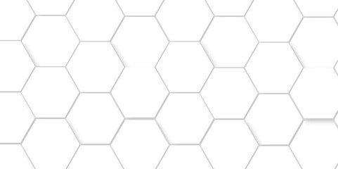 Abstract minimal Background with white lines Hexagonal structure futuristic white background and Embossed Hexagon , honeycomb white mosaic cell web ,light and shadow texture design.	