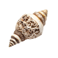 Intricate White Shell with Floral Carvings on a Dark Background