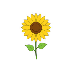 Fototapeta premium realistic blooming sunflower on white background vector illustration