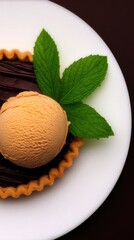 Close-up of a chocolate tart with ice cream