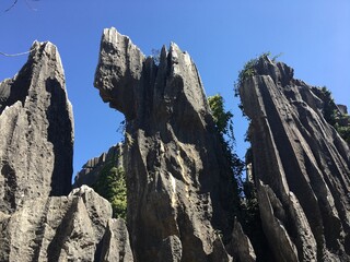 The Stone Forest or Shilin Yi Autonomous County, Yunnan that is unique and nice 