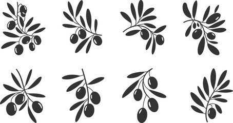 Silhouette collection of olive branches with leaves and fruits, botanical design elements, Mediterranean herb illustration, organic nature theme, vector decorative set, black isolated style