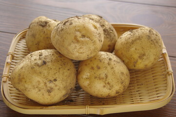 ジャガイモ　採れたてのジャガイモ　泥付きジャガイモ