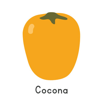 Cocona fruit flat vector illustration. Yellow Cocona or Orinoco apple or peach tomato cartoon clipart style isolated on white background. Tropical, unusual and Lesser-Known Fruits concept