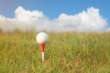 golf ball on tee in a beautiful golf course with morning sunshine.