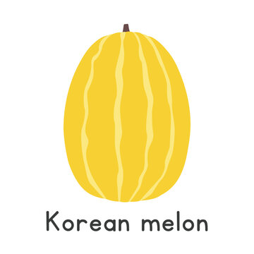 Korean melon flat vector illustration. Yellow Korean melon or chamoe with light yellow stripes cartoon clipart style isolated on white background. Melon and Gourd concept