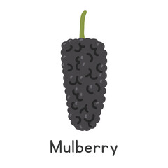 Mulberry flat vector illustration. Black ripe mulberry or Morus cartoon clipart style isolated on white background. Berry concept