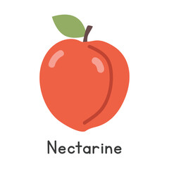 Nectarine flat vector illustration. Shaved peach or Nectarine cartoon clipart style isolated on white background. Drupe or Stone fruit concept