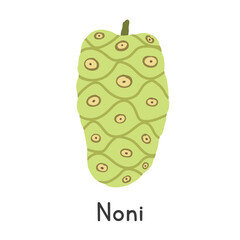 Noni flat vector illustration. Noni cartoon clipart style isolated on white background. Tropical and Exotic fruit concept