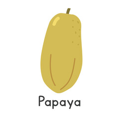 Papaya flat vector illustration. Papaya cartoon clipart style isolated on white background. Common fruit concept