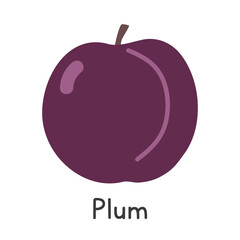Plum flat vector illustration. Purple common plum cartoon clipart style isolated on white background. Common fruit and Stone fruit concept