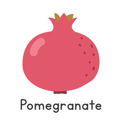 Pomegranate flat vector illustration. Pomegranate cartoon clipart style isolated on white background. Common fruit concept