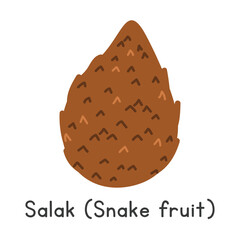 Salak flat vector illustration. Salak or Snake fruit cartoon clipart style isolated on white background. Tropical and Exotic fruit concept