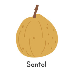 Santol flat vector illustration. Santol cartoon clipart style isolated on white background. Tropical and Exotic fruit concept