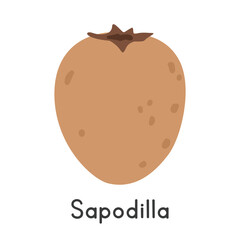 Sapodilla flat vector illustration. Sapodilla or Sapote cartoon clipart style isolated on white background. Tropical and Exotic fruit concept