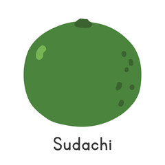 Sudachi flat vector illustration. Green sudachi cartoon clipart style isolated on white background. Citrus fruit concept