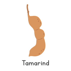 Tamarind flat vector illustration. Tamarind cartoon clipart style isolated on white background. Pods and Legume-like fruit concept