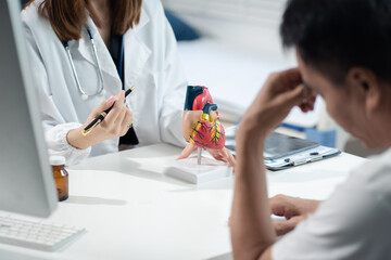Obraz premium doctor shows a model of how the heart system works, doctors explaining symptoms and treatment to patients.
