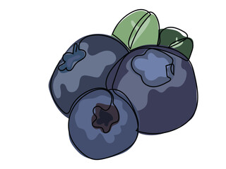 A blueberry fruit is depicted in a continuous line drawing on a white background.
