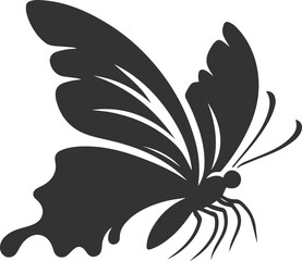 Vector illustration of a butterfly black drawing silhouette
