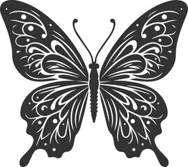 Vector illustration of a butterfly black drawing silhouette