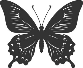 Vector illustration of a butterfly black drawing silhouette