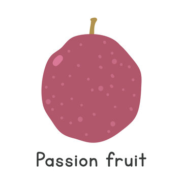 Passion fruit flat vector illustration. Purple passion fruit cartoon clipart style isolated on white background. Tropical and Exotic fruit concept