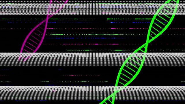 Glitch bands shifting down, pink helix rising, green helix rotating, visualizing corruption