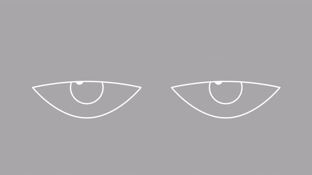 animated outline eyes animation background, animated two eyes sign curiosity with alpha channel, eyes moving sideway on transparent background.