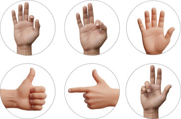 Realistic hand gestures set. Different messages or silent communication through gestures. White background.