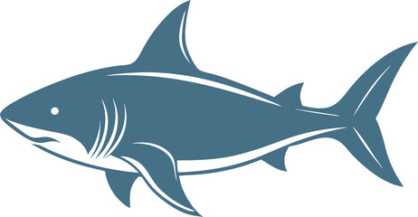 shark vector illustration