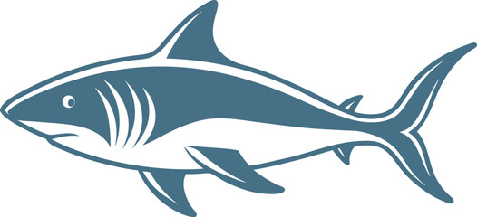 shark isolated on white background