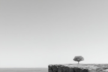 minimalist photograph of rugged cliff with solitary tree standing at edge surrounded by clear sky