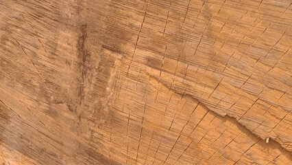 Directly above view of a wooden background. Wooden texture stock photo