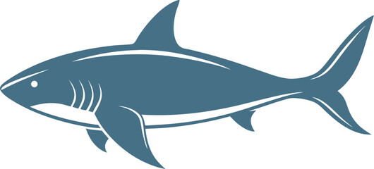 vector illustration of a shark