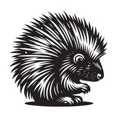 hedgehog on a black background