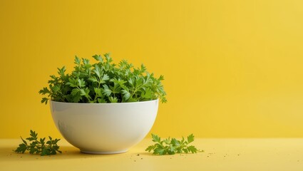 Abundant Fresh Green Herb Plants in a White Bowl against a Bright Yellow Background