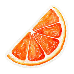 Watercolor Orange Slice Illustration for Fresh Summer Concept Design Element