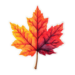 Autumn Foliage Delight: A Captivating Maple Leaf Displaying Rich Colors