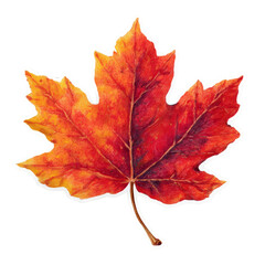 Captivating Autumnal Maple Leaf Isolated on a Pristine White Canvas Artwork
