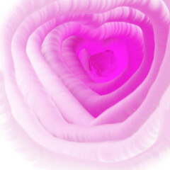 heart shaped pink rose petals