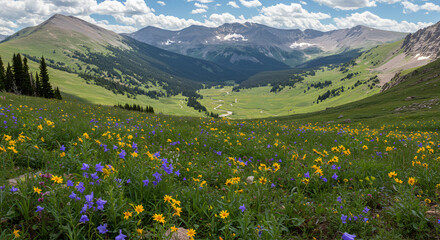 Alpine Meadow and Mountain Lakes Under Clear Blue Sky in the Colorado Rockies During Summer