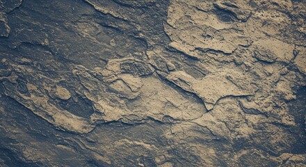 Fototapeta premium A rocky surface with a grainy texture