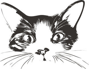 cat illustration with flat vector style