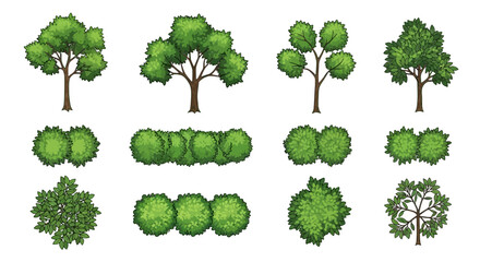Collection of Top View Trees and Bushes  Perfect for Landscape Design and Illustration