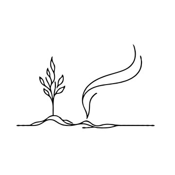 Ashes of a deceased relative when planting a tree