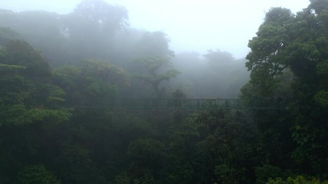 Costa Rica, Monteverde Cloud Forest Hanging Bridge