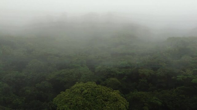 Costa Rica, Monteverde Cloud Forest Hanging Bridge