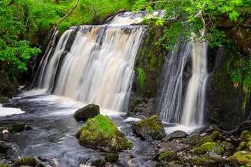 Picturesque waterfall cascades over moss-covered rocks amidst lush green foliage